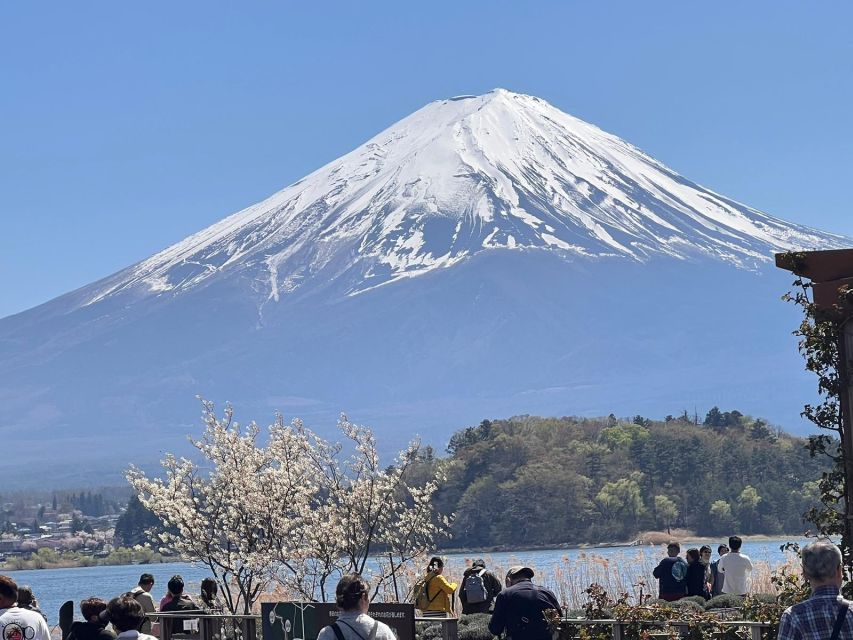Tokyo: Mount Fuji Customizable Private Tour by Car - Customizable Itinerary