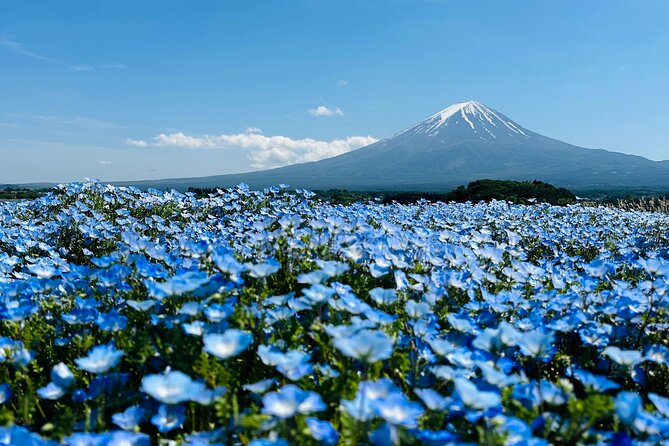 Tokyo: Mount Fuji One Day Private Tour by Car With English Guide - Key Points