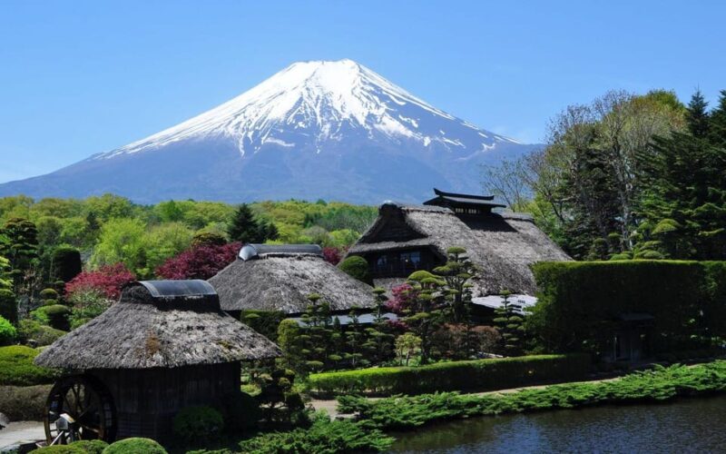 Tokyo: Mt.Fuji 5th Station & Kawaguchiko Highlights Day Tour - Transportation Details