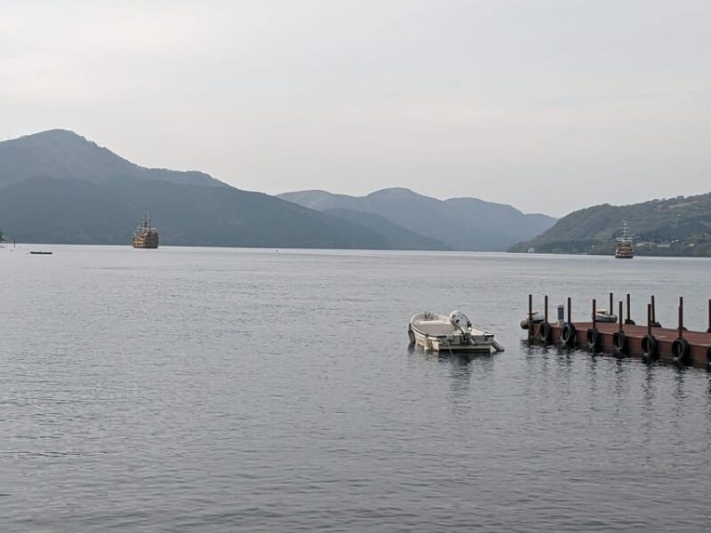 Tokyo: Mt. Fuji and Hakone 1-Day Private Tour - Included Services