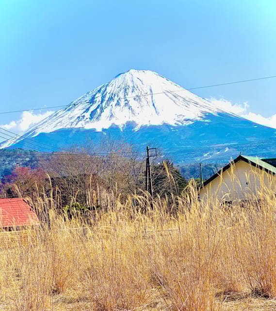Tokyo: Mt Fuji and Hakone Full Day Private Tour - Tour Overview and Pricing