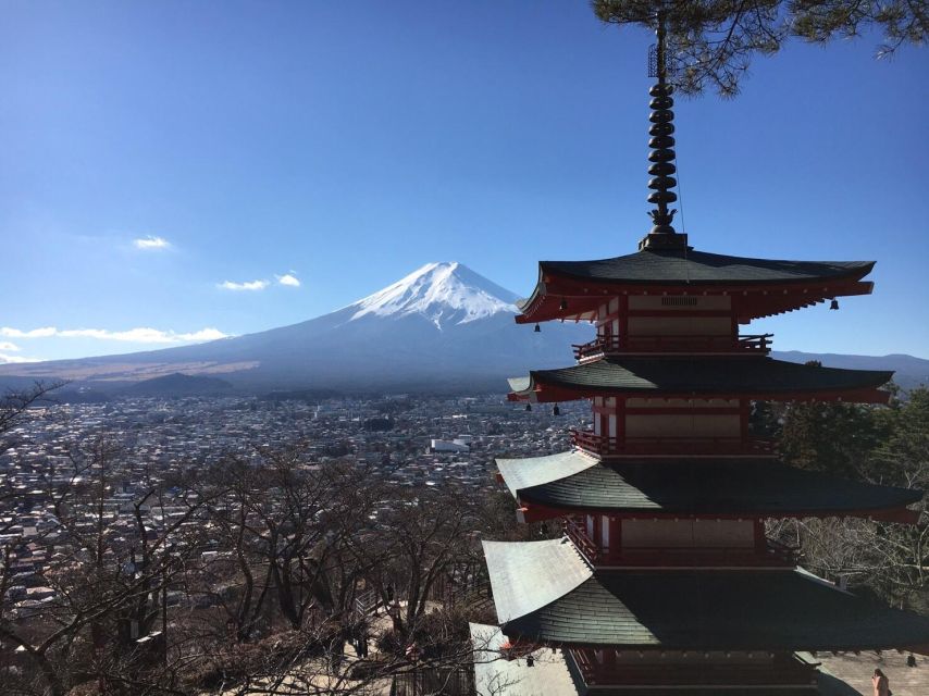 Tokyo: Mt Fuji Area Guided Tour With Traditional Lunch - Vegetarian Options