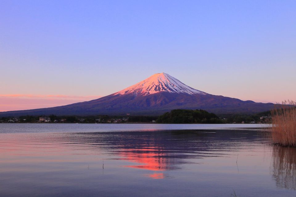Tokyo: Mt Fuji Area Guided Tour With Traditional Lunch - Pickup and Drop-off
