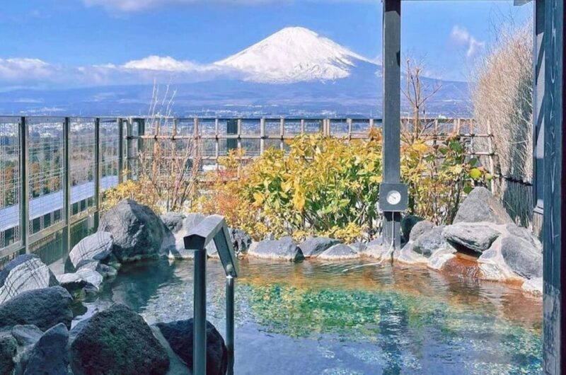 Tokyo Mt.Fuji Hakone Ropeway, and Oshino Hakkai Day Tour - Scenic Photography Spots