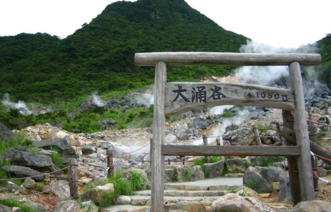 Tokyo: Mt. Fuji Lake Ashi&Ropeway,Owakudani Valley Day Tour - Recap