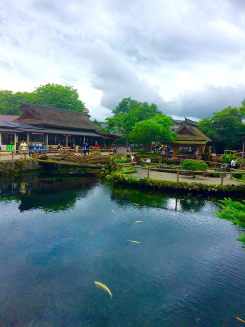 Tokyo: Mt.Fuji Private Sightseeing Tour Eng Speaking Driver - Experience and Activities