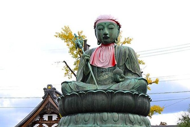 Tokyo Nagano Snow Monkey Park and Zenkoji Temple With Guide - Cancellation and Reviews