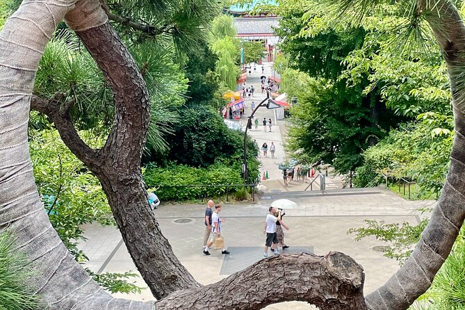 Tokyo National Museum and Ueno Ukiyo-e History Guided Tour - Booking Information