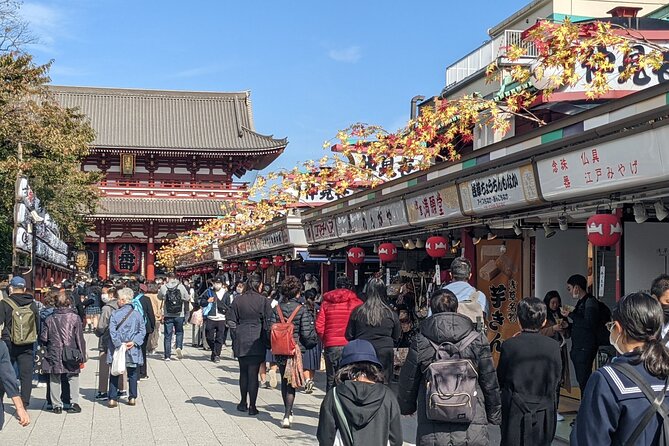 Tokyo Private Car Tour: Professional Guide and Driver/Optional Airport Xfer - Inclusions and Whats Covered