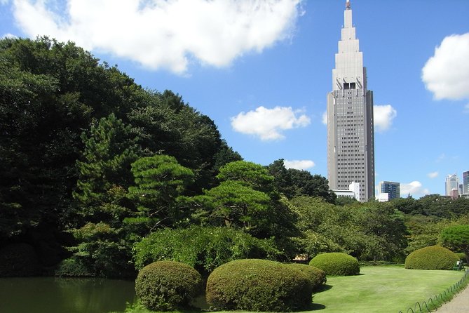 Tokyo Private Car Tour: Professional Guide and Driver/Optional Airport Xfer - Optional Airport Transfer Service