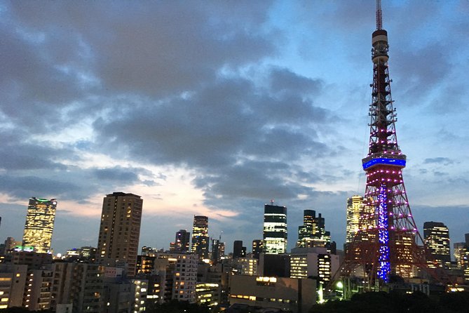 Tokyo Private Car Tour: Professional Guide and Driver/Optional Airport Xfer - Additional Information and Exclusions