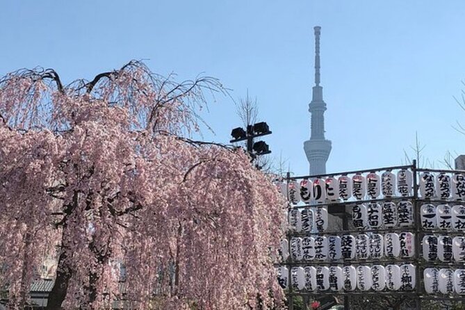 Tokyo Private Day Tour by Car With English Speaking Driver Guide - Convenience and Comfort