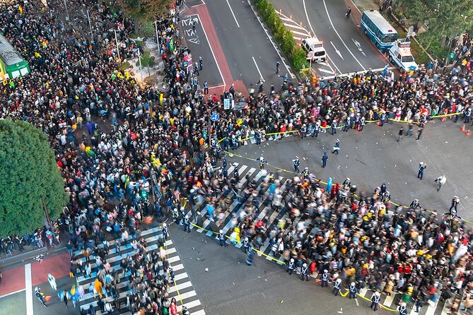 Tokyo Private Day Trip With English Speaking Driver - Accessibility and Suitability