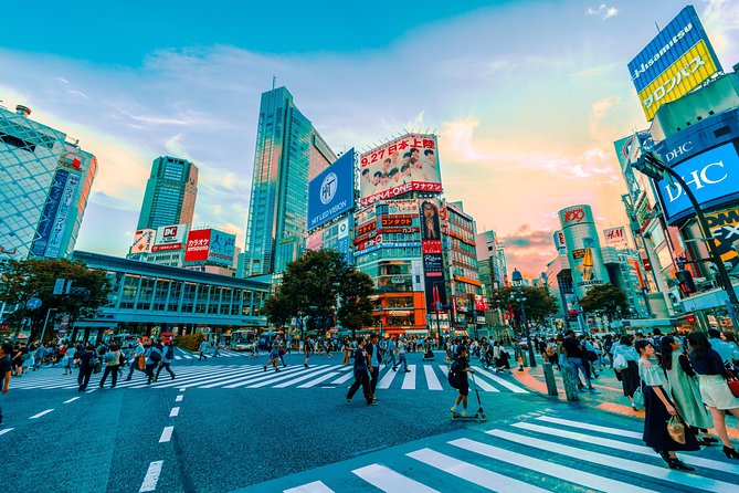 Tokyo Private Driving Tour by Car or Van With Chauffeur - Customization Options