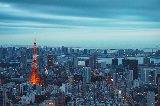 Tokyo Private Driving Tour by Car or Van With Chauffeur - Additional Information