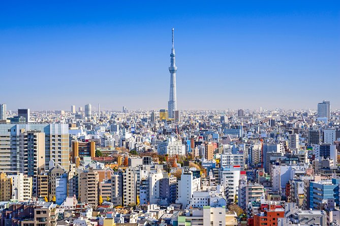 Tokyo Private Sightseeing Tour by English Speaking Chauffeur - Cancellation Policy
