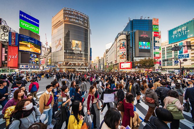 Tokyo Private Sightseeing Tour by English Speaking Chauffeur - Customizable Itinerary