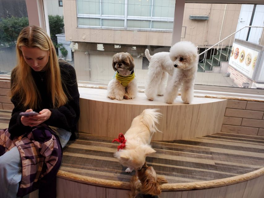 Tokyo Private Tour - Japanese Pop Culture Exploration