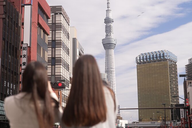 Tokyo Private Tour by Car - English Speaking Driver - Additional Information