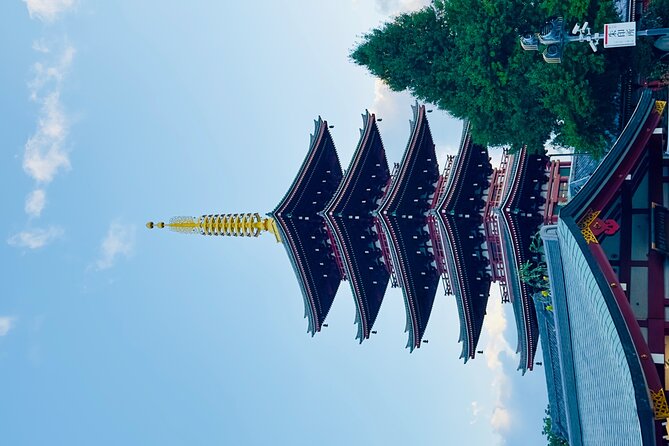 Tokyo Private Tour With English Speaking Driver - Pricing and Group Information