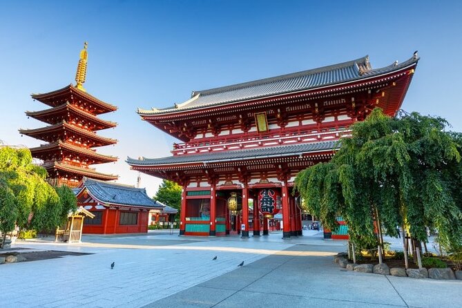 Tokyo Private Tour With English Speaking Driver - Key Points
