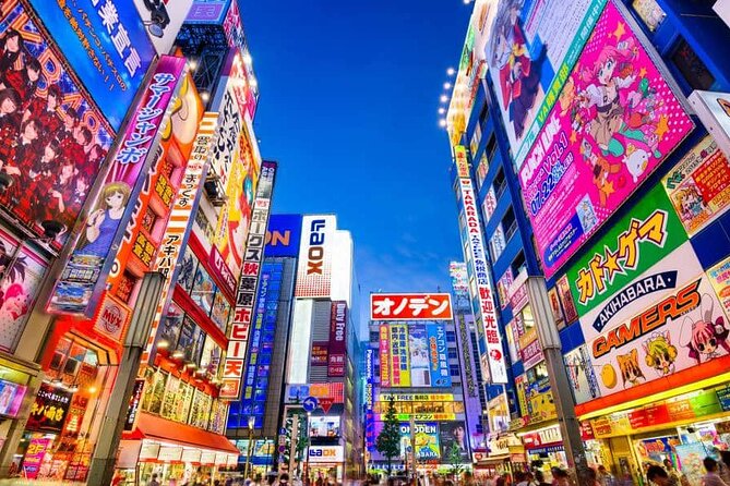Tokyo Private Tour With English Speaking Driver - Inclusions