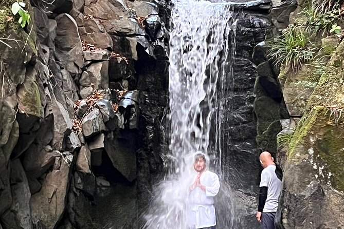 Tokyo Seasonal Peaks Discovery - Inclusions and Lunch Details