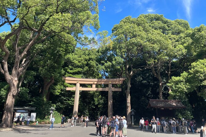 Tokyo Shibuya and Highlights Private Running Tour - Key Points