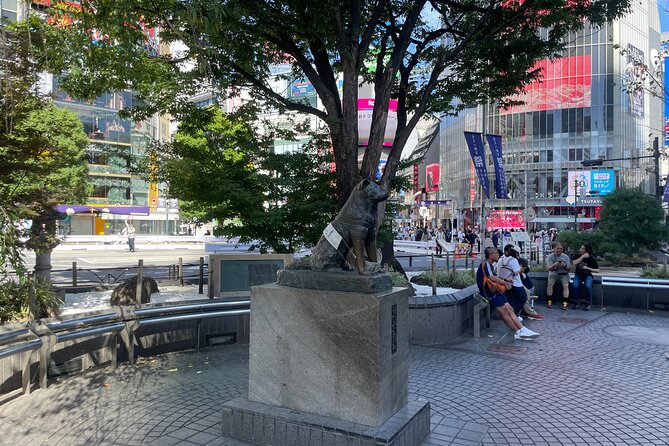 Tokyo Shibuya and Highlights Private Running Tour - Preparing for the Running Tour