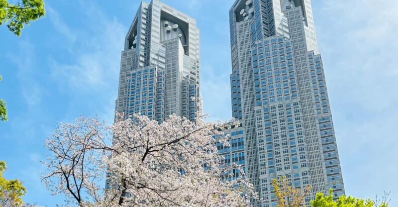 Tokyo: Shinjuku Panorama & Peace Tour With Izakaya Dinner - Experience Details