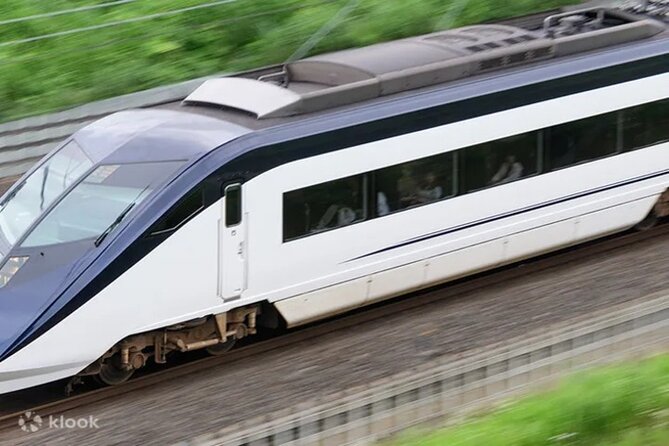 Tokyo Skyliner One Way Ticket From Ueno or Nippori to Narita - Accessibility and Participant Eligibility