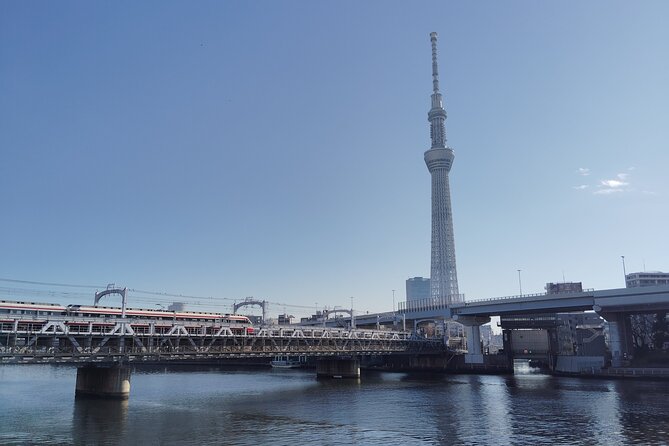 Tokyo Skytree Private Walking Tour Experience With Cafe Inside - Navigating the Skytrees Accessibility Features