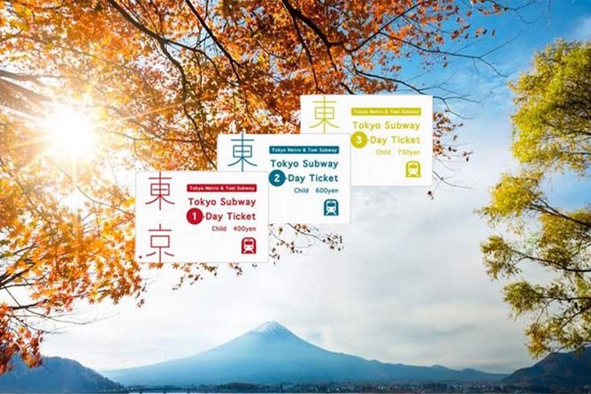 Tokyo Subway Ticket - Traveler Information