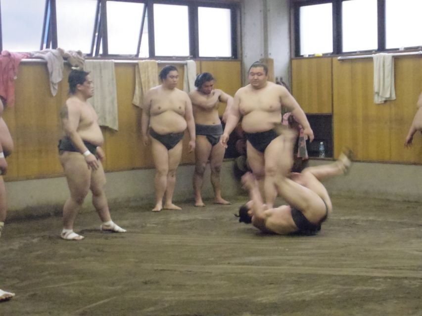Tokyo: Sumo Morning Practice Viewing Tour - Key Points
