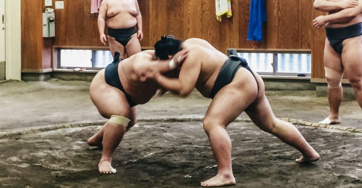 Tokyo: Sumo Morning Training Visit - Inclusion Details