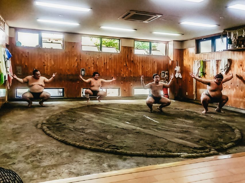 Tokyo: Sumo Morning Training Visit - Restrictions and Guidelines