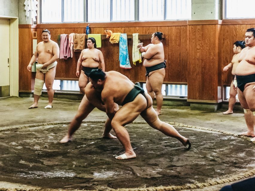 Tokyo: Sumo Morning Training Visit - Meeting Time and Location
