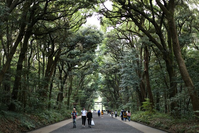 Tokyo Tailored 4 Hours Private Guided Tour - Accessibility and Participation