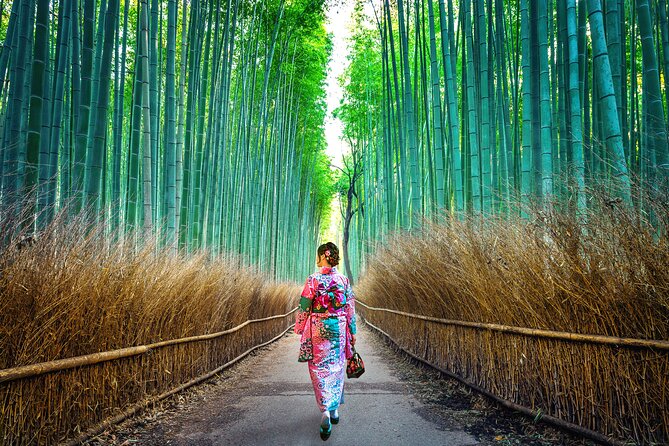 Tokyo to Kyoto 1-Full Day Private Guided Tour - Inclusions