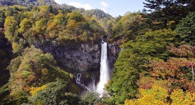 Tokyo to Nikko Private Tour - Customer Reviews