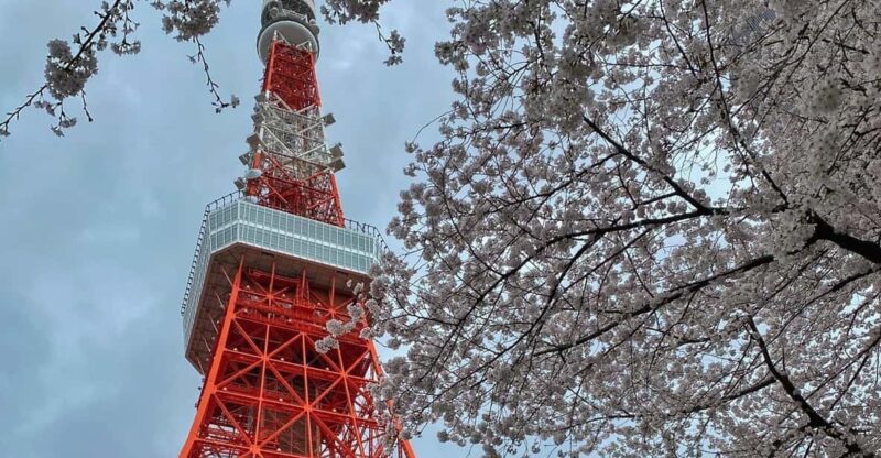 Tokyo Tour (Must Seeing Places in Tokyo) - Overview of the Tour