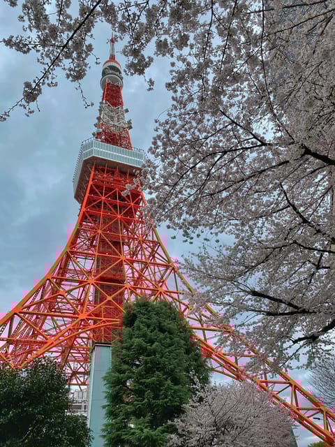 Tokyo Tour (Must Seeing Places in Tokyo) - Tokyo Skytree Visit