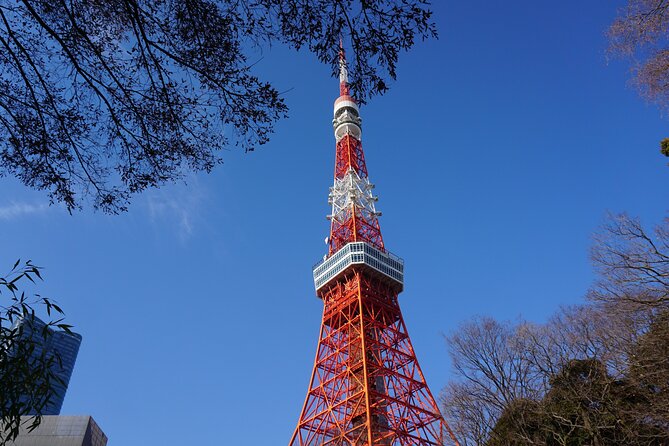 Tokyo Tower Secret Photo Spot and Skyline Tour - Schedule