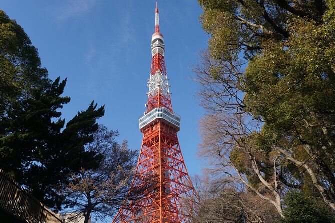 Tokyo Tower Secret Photo Spot and Skyline Tour - Capturing the Iconic Skyline