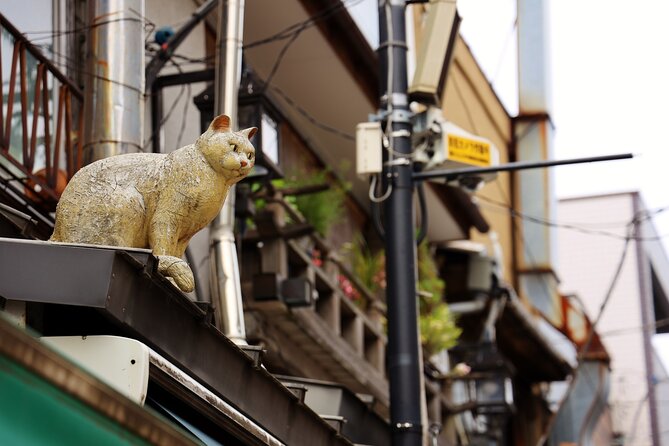 Tokyo Walking Tour of Historic Shopping Streets Yanaka - Meeting and End Points