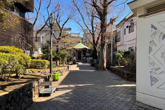 Tokyo Walking Tour of Historic Shopping Streets Yanaka - Museum Guidelines and Safety