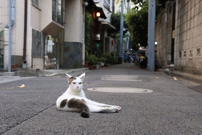 Tokyo Walking Tour of Historic Shopping Streets Yanaka - Preparing for the Tokyo Walking Tour