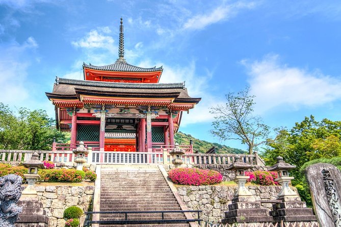 Tokyo Walking Tour With Professional Guide - Meeting and Pickup