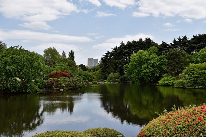 Tokyo Walking Tour With Professional Guide - Insider Tips for Enjoying the Tour