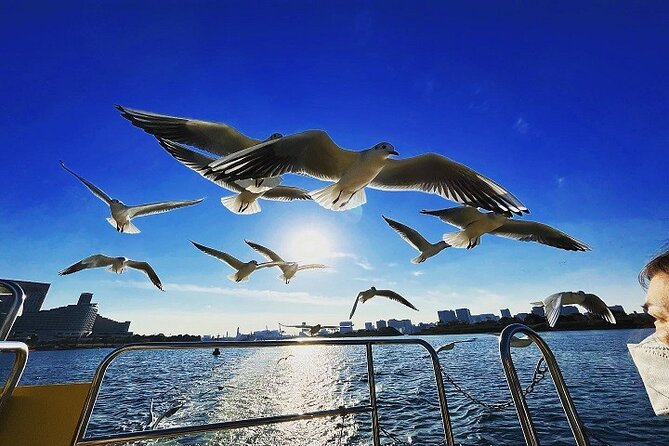 Tokyo Water Taxi Bayzone Tour - Accessibility and Requirements